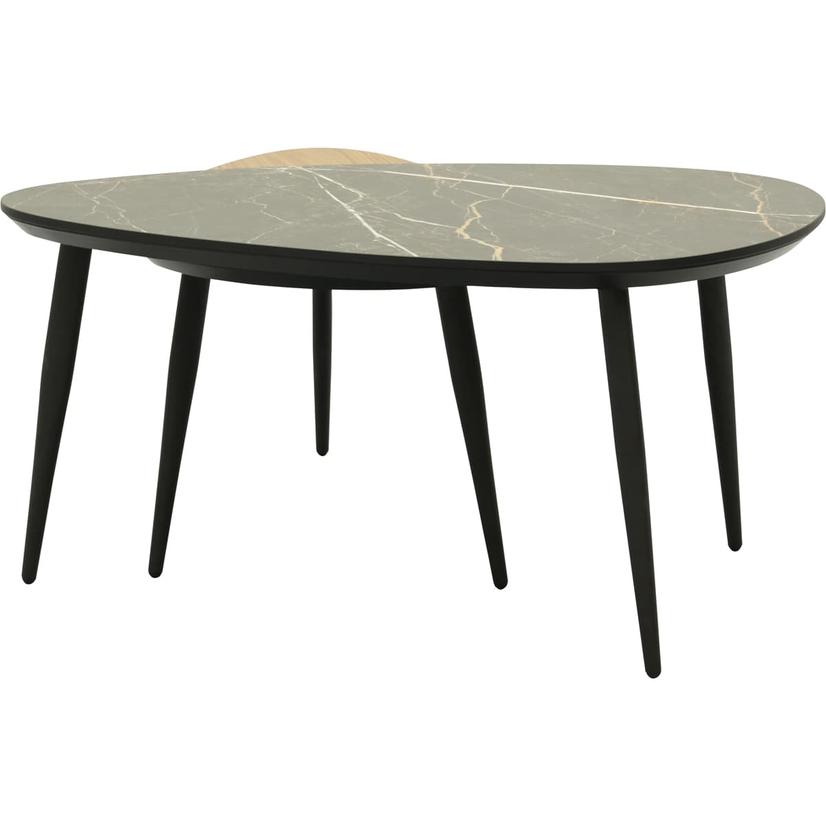 Salontafelset Dana normaal - 2